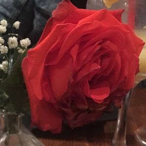 Meet your Posher, Alexandra